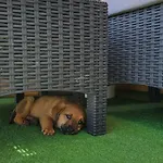 Villa Kuca Za Odmor Kovacevic Bihać